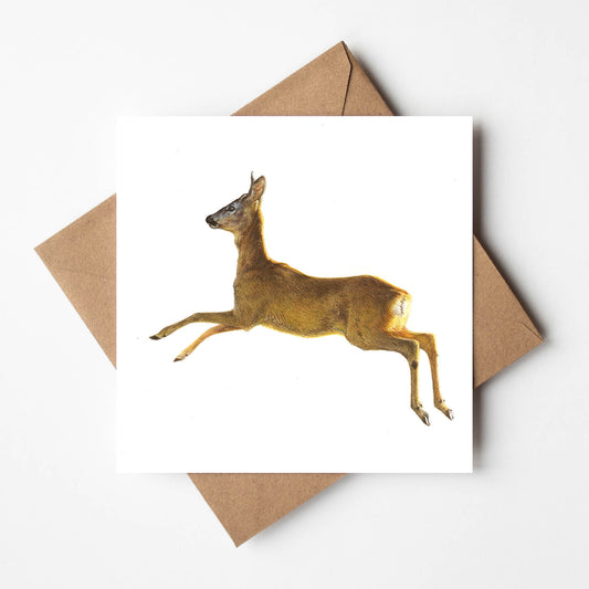 Ping - Roe Deer Greetings Card