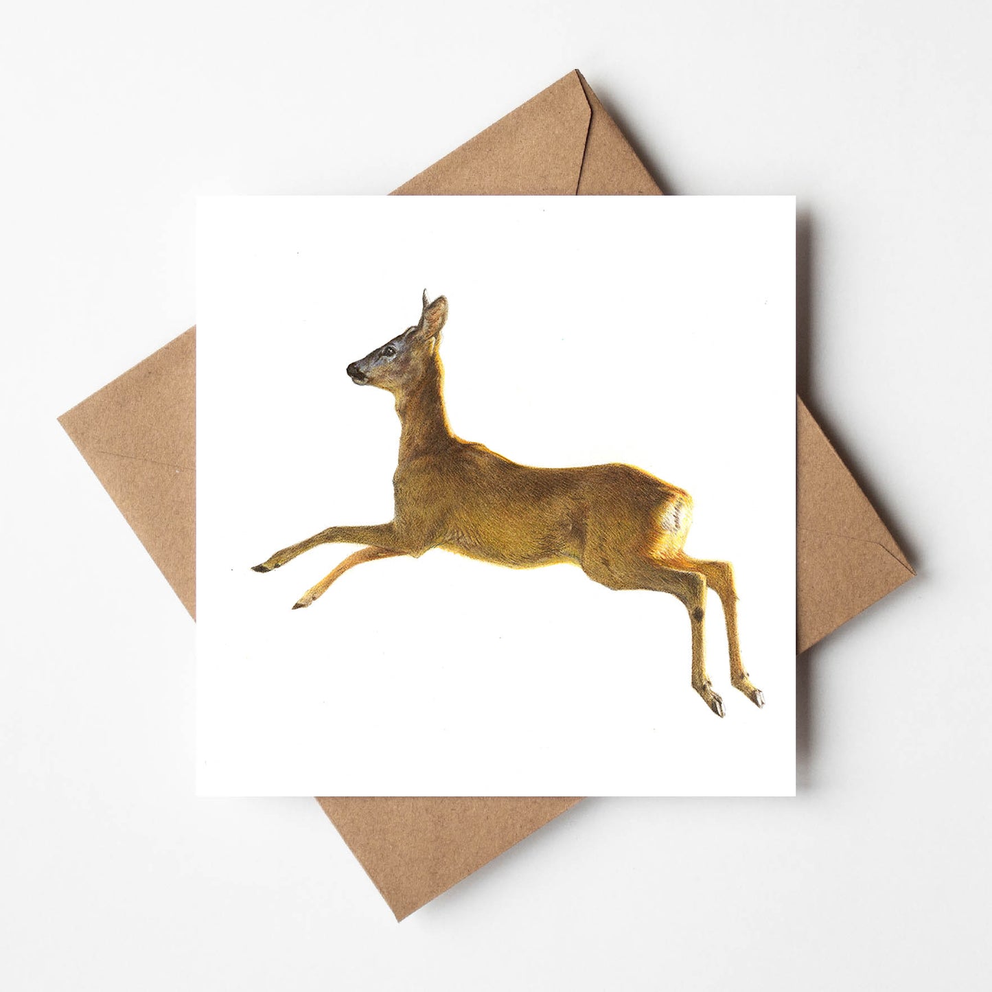 Ping - Roe Deer Greetings Card