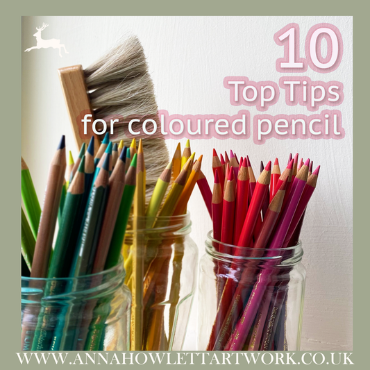 Unsure where to start? My 10 Top Tips for Coloured Pencil