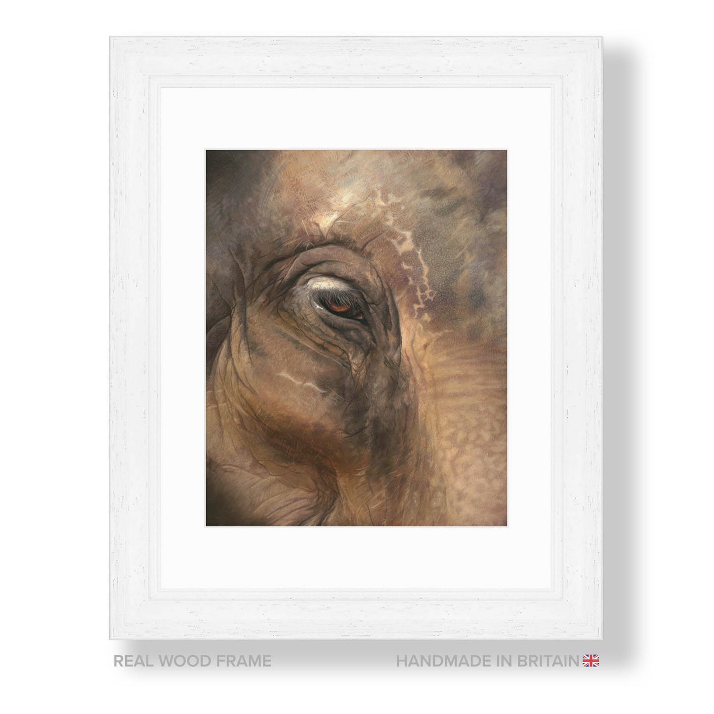 Elephant Eye (Charity Print)