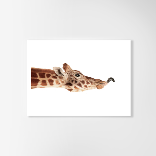 April Giraffe