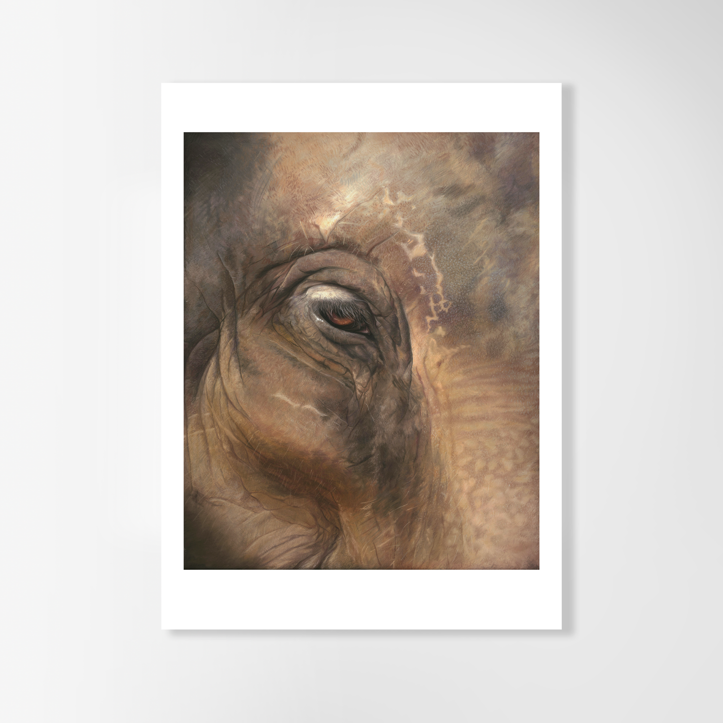 Elephant Eye (Charity Print)