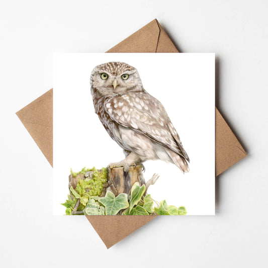 Little Owl - Greetings Card