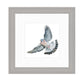 Wood Pigeon - Collector’s Edition Print